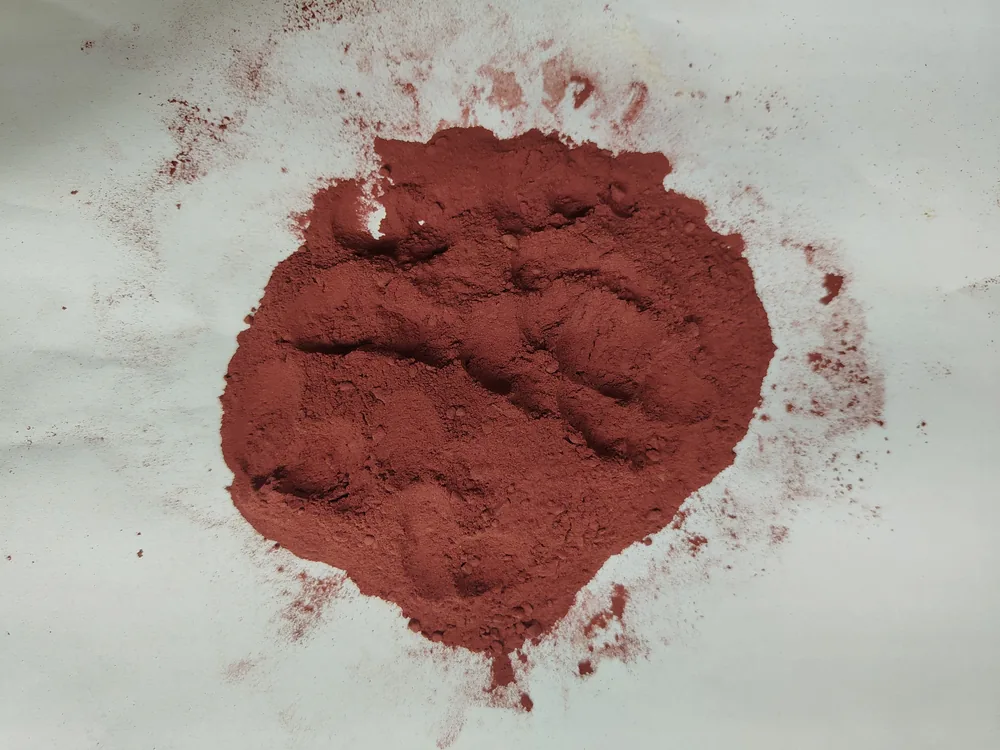 Raw beetroot powder